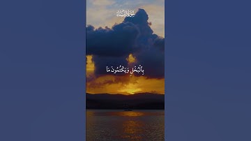 #قران_كريم #قرآن #تلاوات #تلاوة #تلاوة_خاشعة #سورة