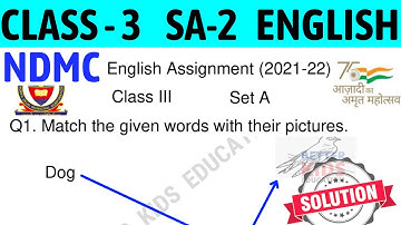 NDMC Class 3 English Assignment SET A || Class 3 English SA2 Final Exam Solution