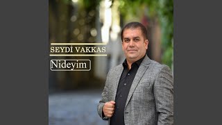 Çalkamış