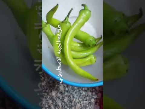 طريقة عمل الجبنه الاسطنبولي