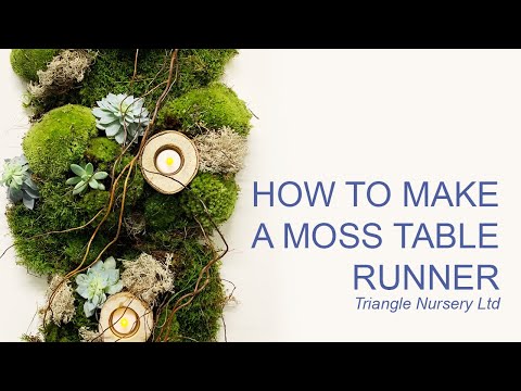 Vidéo: Comment utiliser Moss dans un arrangement floral ?