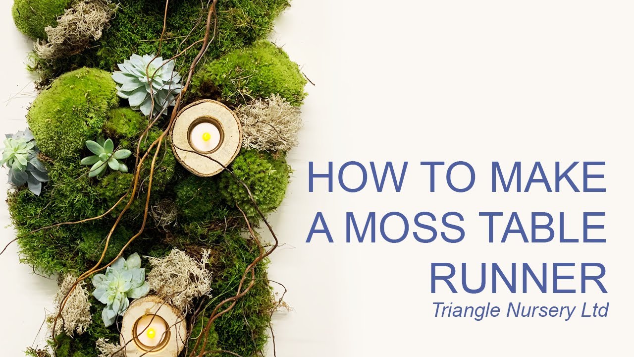 The Langham Project: How To: Make a Moss Table Runner