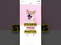 Sticker maker app for iphone  create stickers from any picture  portrait