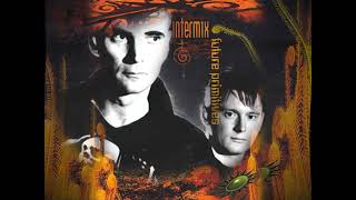 Intermix - Telekinetic Warriors (1995)