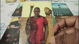 മകം നക്ഷത്രഫലം November 2025| Makam Nakshatra phalam | Malayalam Tarot card reading