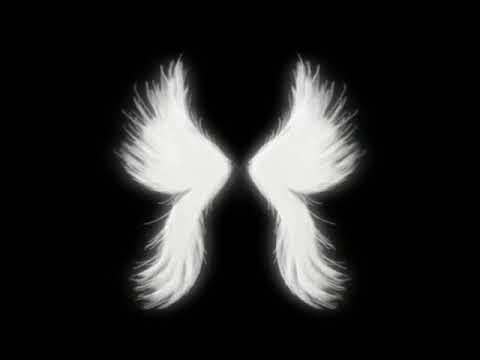 Белые крылья - YouTube
