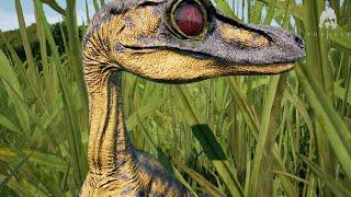 Survival Chronicles: The Troodon&#39;s Triumph in &quot;The Isle - Evrima&quot;