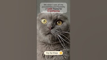 The Best Shopify Theme for Dropshipping Business | 2023 2024