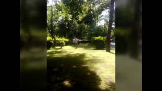 Тигрешки Секс Ръиш Ли