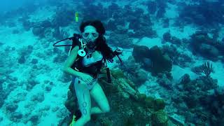 Female Scuba Diver Dives Near Sunken Ship