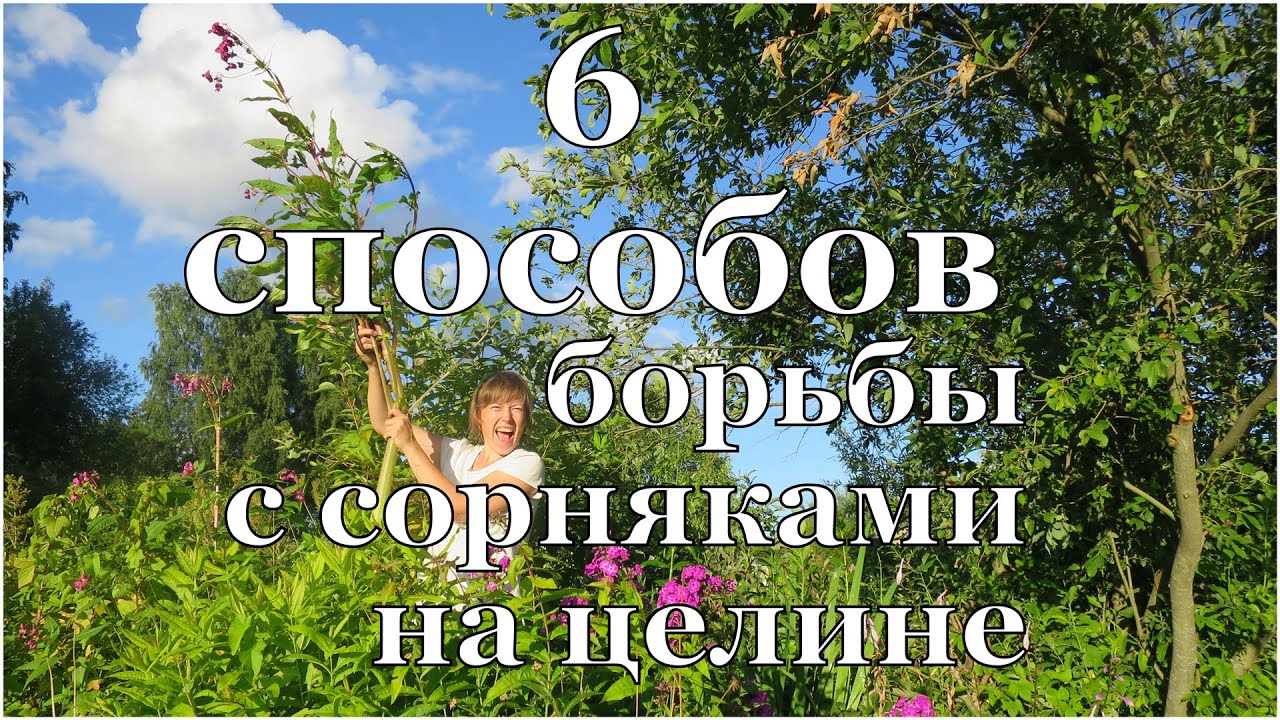 ⁣6 способов БОРЬБЫ с СОРНЯКАМИ на целине // 6 ways to control weeds in the virgin location