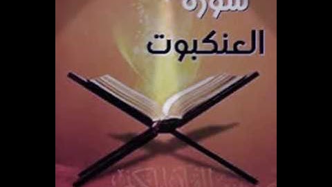 القارئ : حمزة بلخضري  من صلاة التراويح