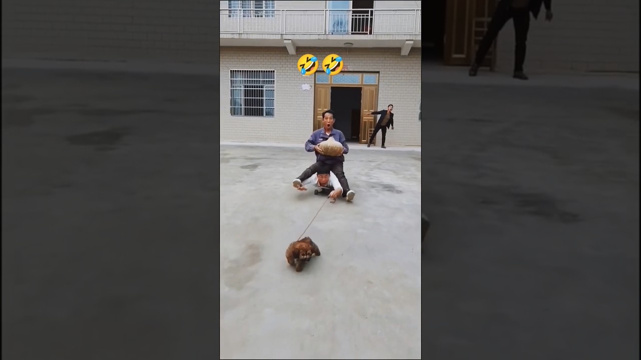 🤣🤣 #funny #treandig #shortsfeed #comedy