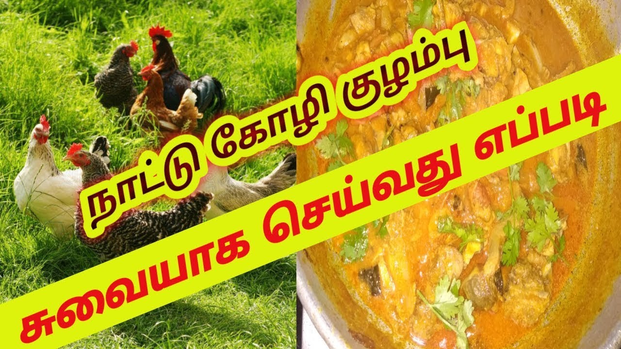 நாட்டு கோழி குழம்பு செய்வது எப்படி / AMMA SAMAYAL POLA NATTU KOLI