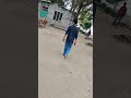 one like and subscribe ☺️
