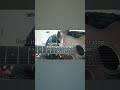 Tere Hoke Rahenge | @Official_ArijitSingh cover Song #cover #shorts  #singing #guitar #arijitsingh