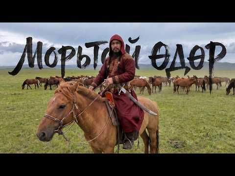МОНГОЛ ХҮН ЯАГААД МОРИО ГЭР БҮЛИЙН ГИШҮҮН ШИГ ҮЗДЭГ ВЭ? Морьтой өдөр - 3