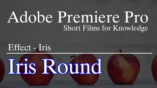 Iris Round - AdobePremierePro screenshot 5