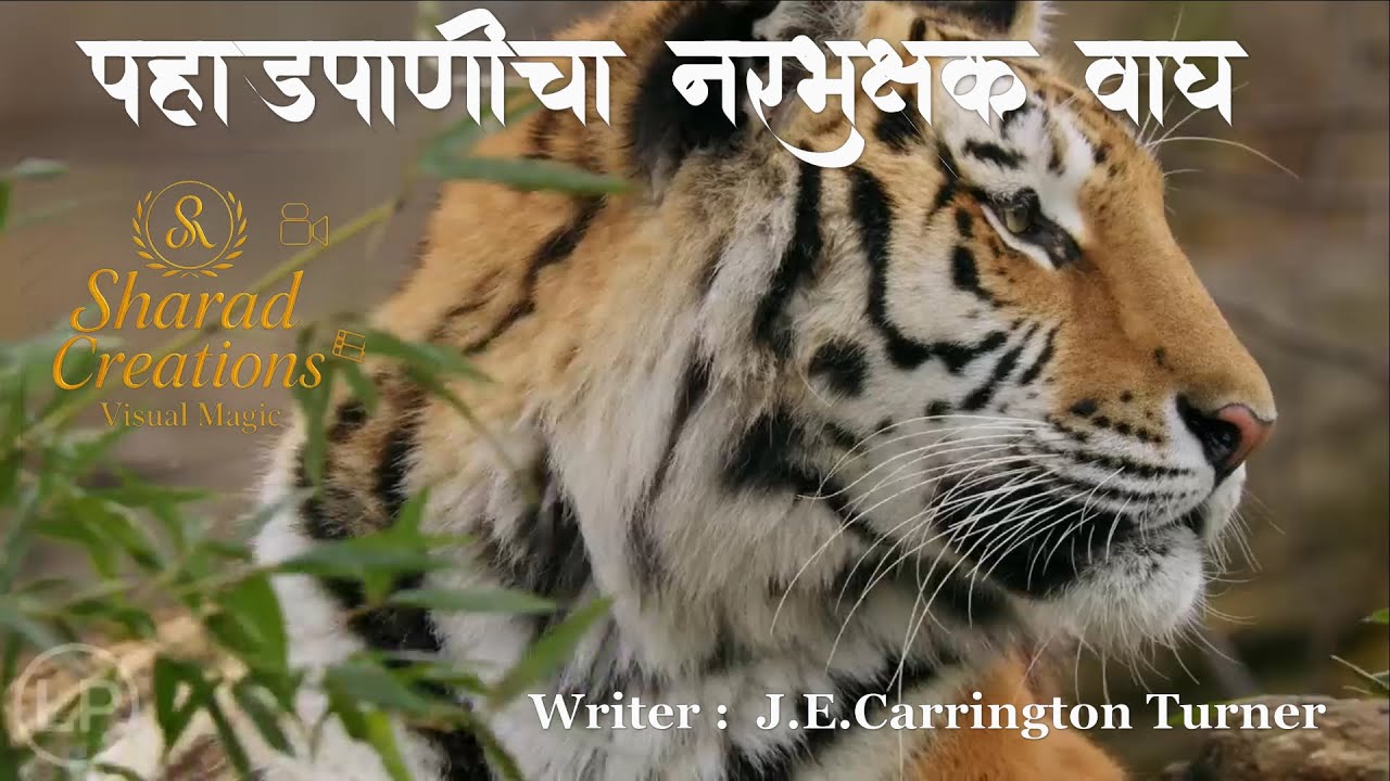 पहाड पाणीचा नरभक्षक वाघ - जे ई  karington  turner -अनुवाद : लालू दुर्वे