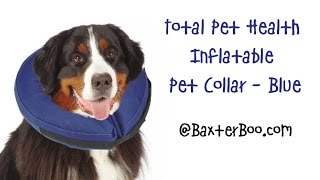 calm paws protective collar reviews
