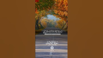 تلاوة هادئة تريح القلب ♥♥♥♥♥♥♥♥♥♥♥