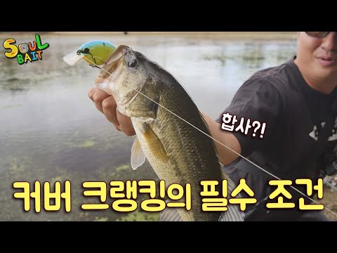 캐스팅부터 랜딩까지 완벽_[SOUL BAIT_21] 최규태 <strong>DEPS</strong>