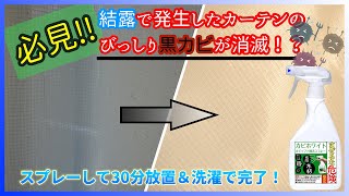 【カーテンカビ取り】結露で発生したカーテンの黒カビ退治