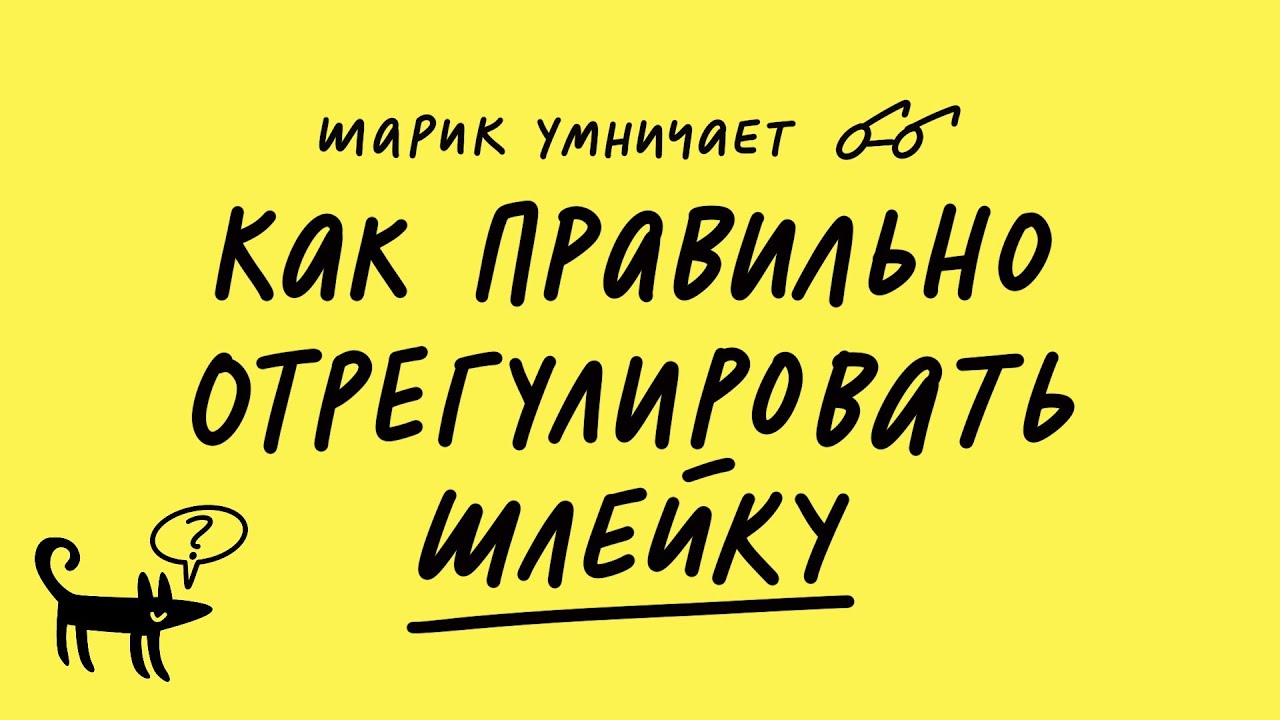 Как отрегулировать шлейку - YouTube