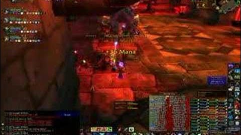 First Chromaggus Kill