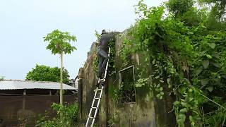 The Secret Hidden Inside This Haunted French Colonial House Kept Everyone Away for 20 Years