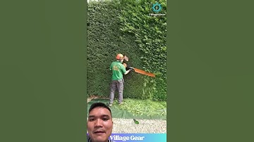 Hàng Rào Cây Cảnh #landscape