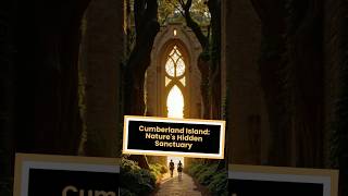 The Haunting Beauty of Cumberland Island