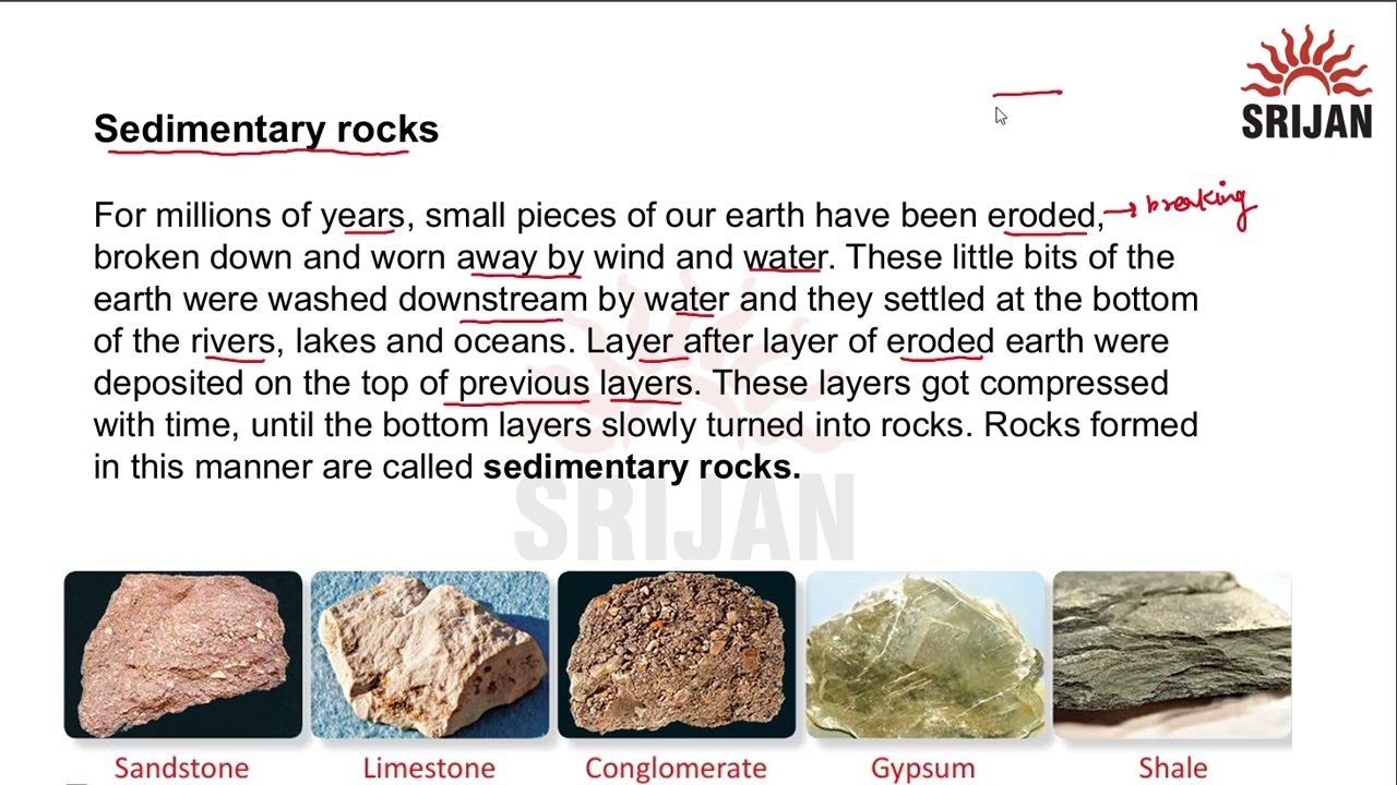Bioclastic Rocks Are Formed From