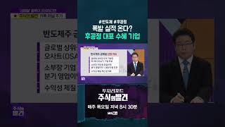 [주식의 발견] AI 반도체 공급망의 핵심 수혜주? 폭발 성장 올까