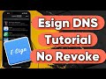 New Esign DNS Tutorial and Sideload Apps NO Computer/Revoke! Install IPA Files on iPhone!