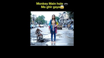 🐒Monkey pani mai gir gaya🥹#monkey #monkeyvideo #monkeyvlogs #karachi #googleveo3 #veo3 #ytshorts