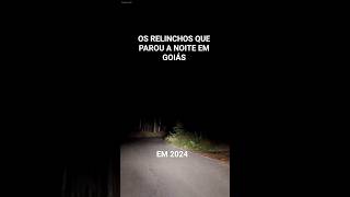 O ANIMAL NÃO CORRIA, ELE DESLIZAVA. RELATOS REAIS DE MORADORES #terror