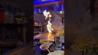 IMG 7058