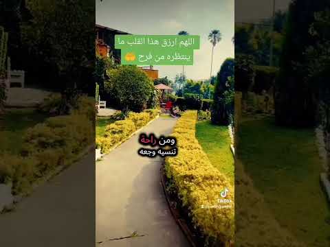 دعاء فيه بركة ورزق وشفاء اللهم اشفي الجميع صلوا على النبي اكسبلور جزاكم الله خيرا اكتب شي تؤجر