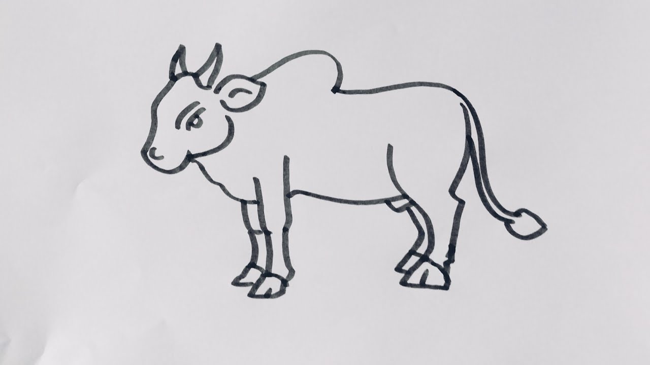 Рисунок быка шаг за шагом / Рисунок быка @ChalkDrawing