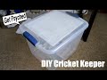DIY Cricket Keeper (and other tips)