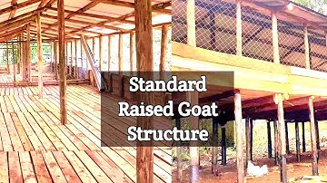 How to Construct Raised Standard Goat Structures(cheap materials Needed) | KIMD FARM | 2023