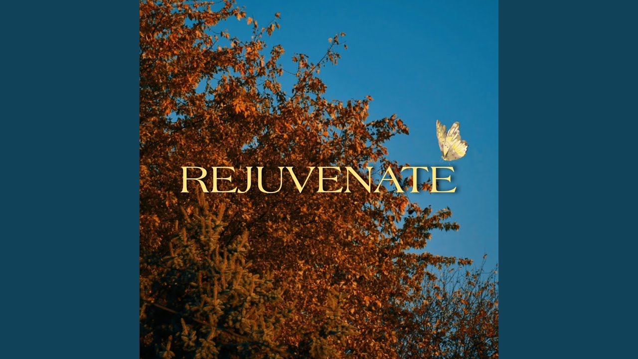 Ver Gravity in Reverse en YouTube Ver Gravity in Reverse en YouTube