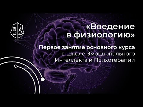 Тревожные расстройства. Физиология мозга