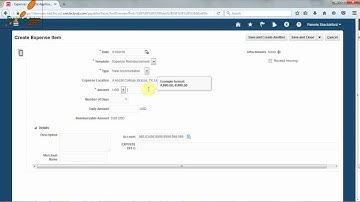 Oracle Financials-Expense Report Submission