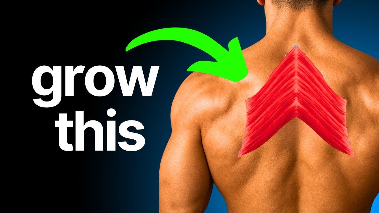 Grow Your Rhomboids | Learn Biomechanics