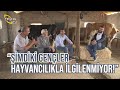 Küçük Aile İşletmesinin İSYANI ("Şimdiki Gençler Hayvancılıkla İlgilenmiyor") - Etten Süte