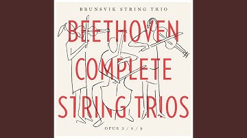 String Trio No. 3 in G Major, Op. 9 No. 1: IV. Presto