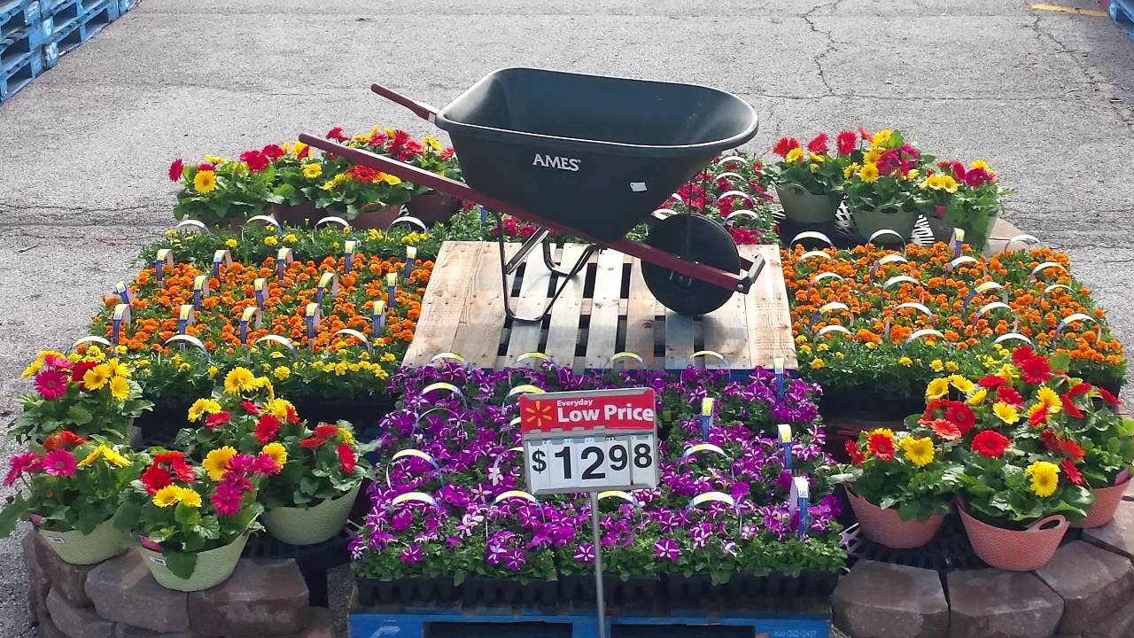 Neal Mast Connecting People to Plants! YouTube