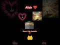 Quran Urdu translate ❤